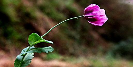 极简风格平台解谜游戏《矿物》登录Steam平台 2024年8月8日推出